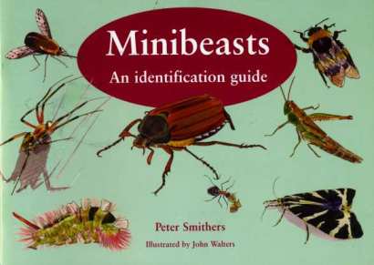 The Minibeast Guide Cover